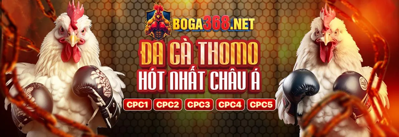 Banner quảng cáo các chương trình khuyến mãi Nbet