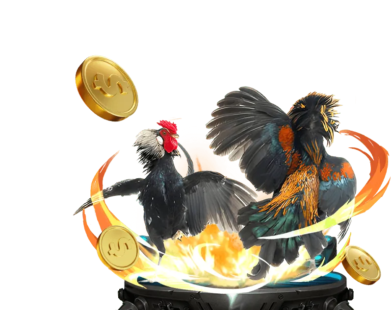 Các trò chơi cá cược đa dạng tại Nbet